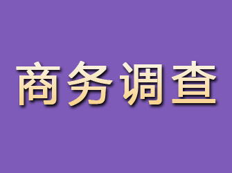 兴隆台商务调查